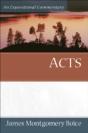 Acts Â€“ An Expositional Commentary - Preview