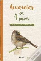 Acuarelas En 4 Pasos