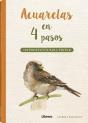 Acuarelas En 4 Pasos - Preview