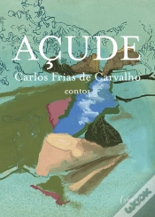 Capa do artigo Açude
