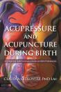 Acupressure And Acupuncture During Birth - Preview