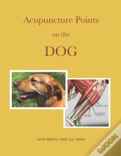 Capa do artigo Acupuncture Points On The Dog