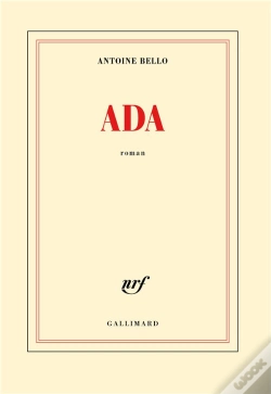 Capa do artigo Ada