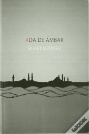 Capa do artigo Ada De Ambar  