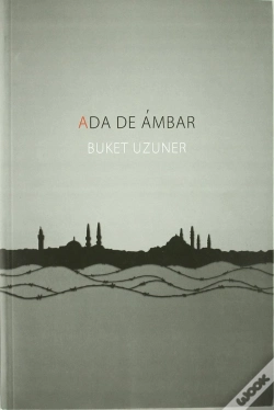 Capa do artigo Ada De Ambar  