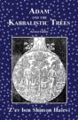Adam And The Kabbalistic Trees - Preview