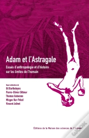 Capa do artigo Adam Et L