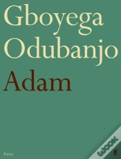 Capa do artigo Adam