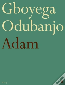 Capa do artigo Adam
