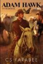 Adam Hawk, Us Marshal Volume 2 - Preview