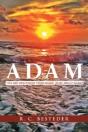 Adam: You Are Descended From Adam! What About Adam? - Preview