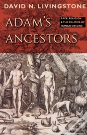 Capa do artigo Adam