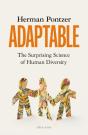Adaptable - Preview