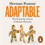 Adaptable - Preview