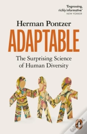Capa do artigo Adaptable