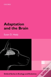 Adaptation And The Brain