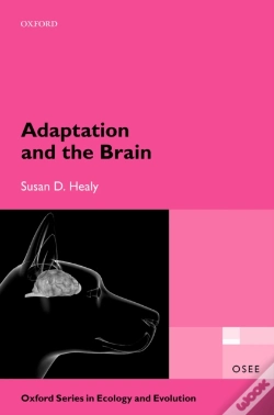 Capa do artigo Adaptation And The Brain