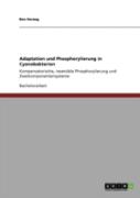 Adaptation Und Phosphorylierung In Cyanobakterien