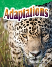 Capa do artigo Adaptations