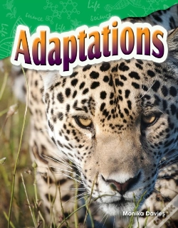 Capa do artigo Adaptations