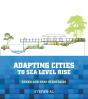 Adapting Cities To Sea Level Rise - Preview