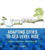 Adapting Cities To Sea Level Rise - Preview