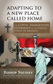 Capa do artigo Adapting To A New Place Called Home