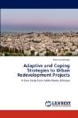 Adaptive And Coping Strategies To Urban Redevelopment Projects - Preview