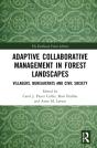 Adaptive Collaborative Management In Forest Landscapes - Preview