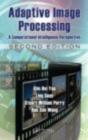 Adaptive Image Processing - Preview