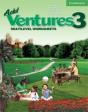 Add Ventures - Preview