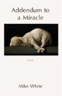 Addendum To A Miracle - Preview
