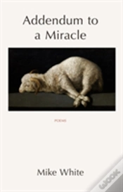 Capa do artigo Addendum To A Miracle