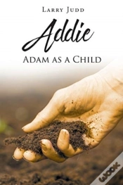 Capa do artigo Addie