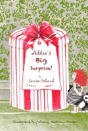 Addie'S Big Surprise - Preview
