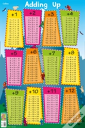 Capa do artigo Adding Up