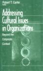 Addressing Cultural Issues In Organizations - Preview