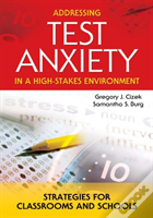 Addressing Test Anxiety In A High-Stakes Environment