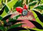 Adèle La Coccinelle - Preview