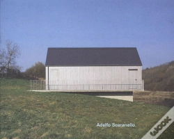 Capa do artigo Adelfo Scaranello