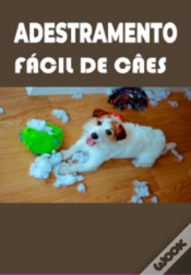 Capa do artigo Adestramento Fácil De Câes