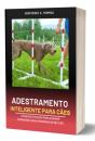 Adestramento Inteligente Para Cães - Preview