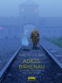 Adios, Birkenau - Preview