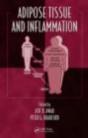 Adipose Tissue And Inflammation - Preview