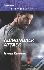 Capa do artigo Adirondack Attack