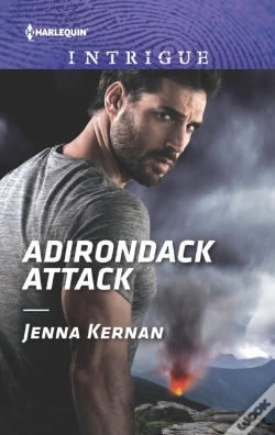 Capa do artigo Adirondack Attack