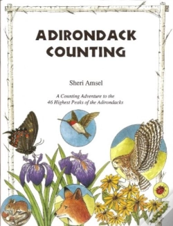 Capa do artigo Adirondack Counting Book
