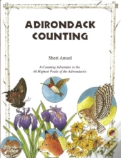 Capa do artigo Adirondack Counting Book