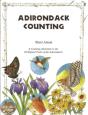 Adirondack Counting Book - Preview