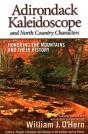 Adirondack Kaleidoscope And North Country Characters - Preview